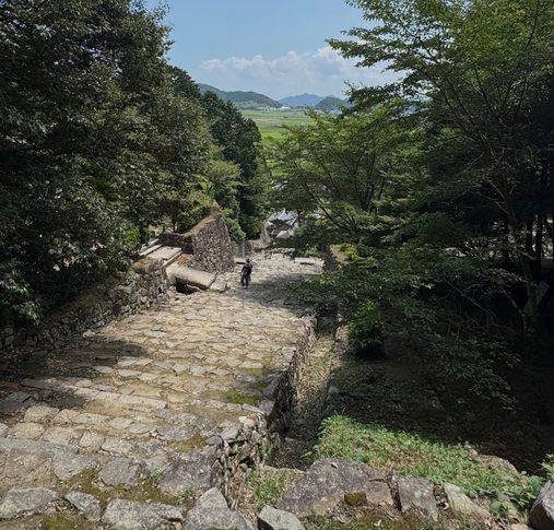Stone path at Azuchi descending through trees toward the plain
