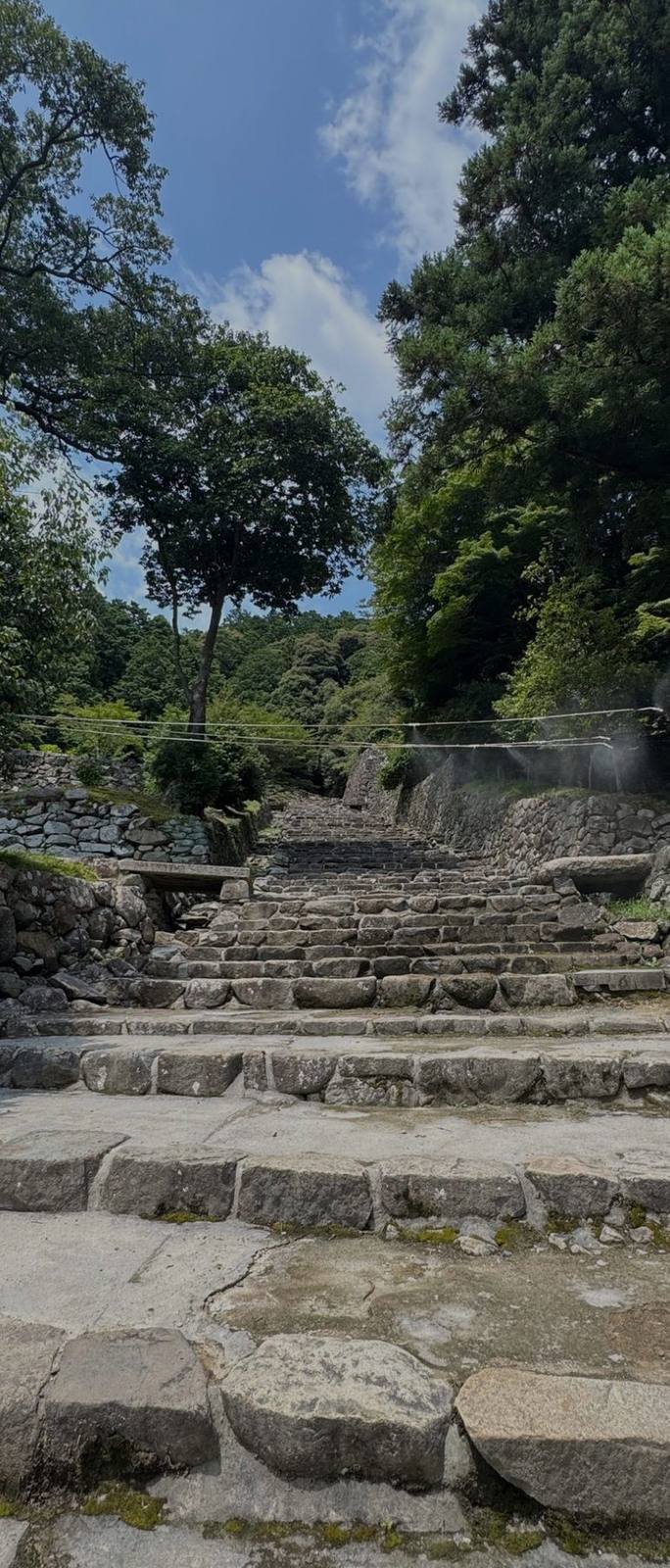 Worn stone steps of the great approach at Azuchi Castle, climbing into trees