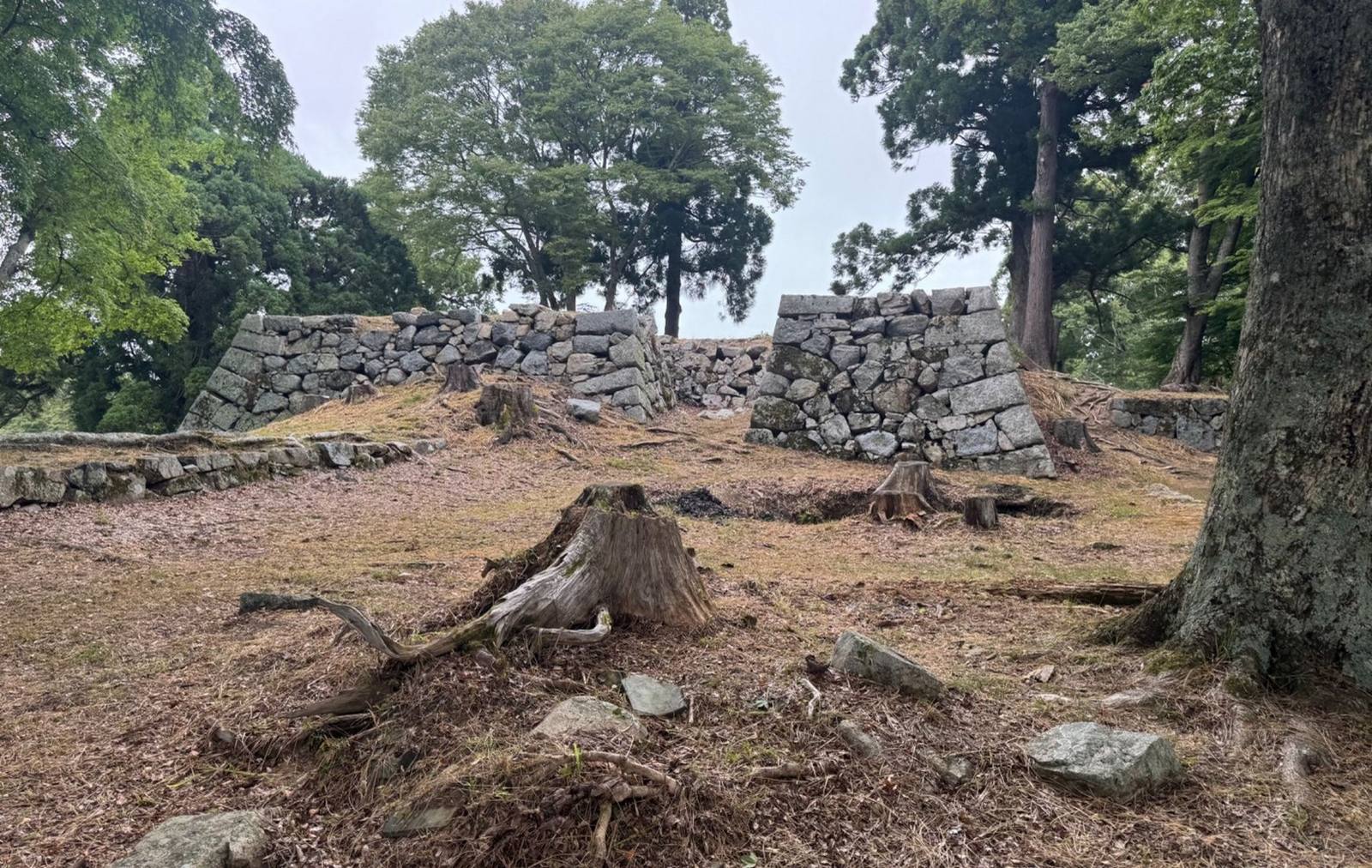Inside the Honmaru at Takatori, low stone walls among trees