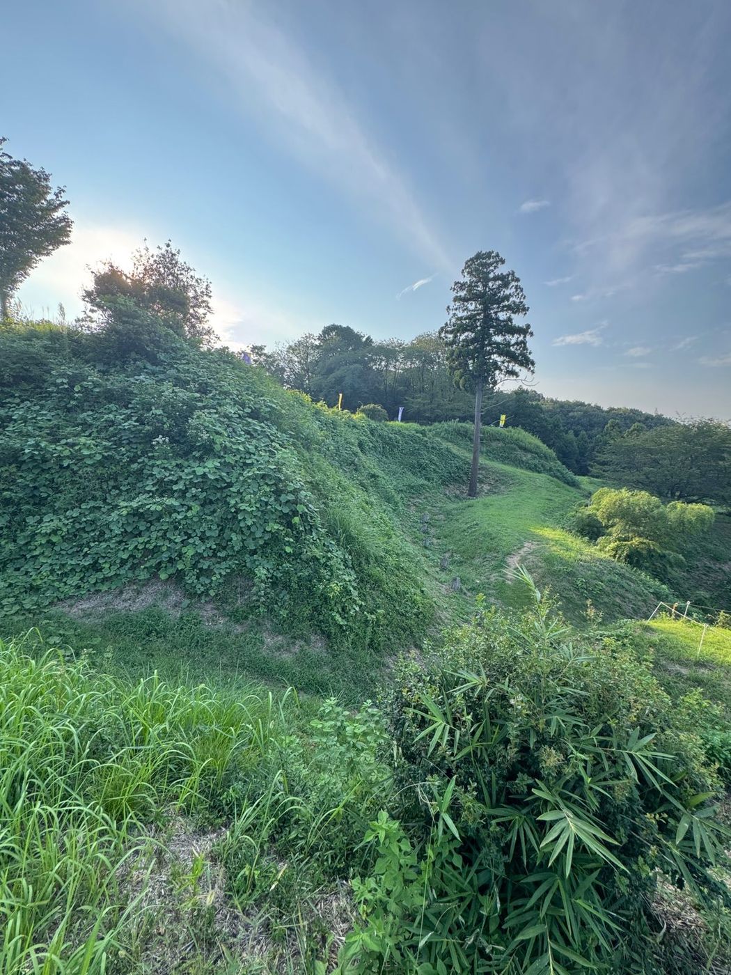 Earthworks, Sugiyama Castle (No. 119)